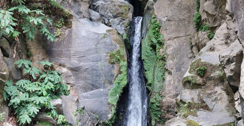 Half Day Lagoa Do Fogo 4X4 Tour and Gin Library - Gin Library Experience