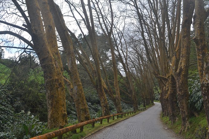 Half Day Lagoa Do Fogo (Middle of the Island) - Pickup Details