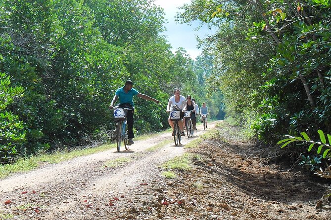 Half-Day Lagoon and Village Cycling Tour in Galle - Inclusions