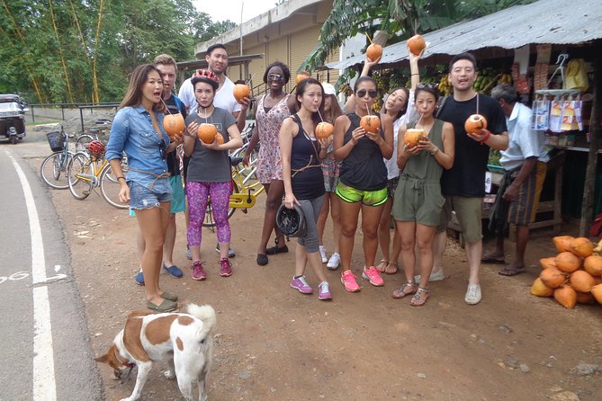 Half-Day Lagoon and Village Cycling Tour in Galle - Historic Buddhist Temple Visit