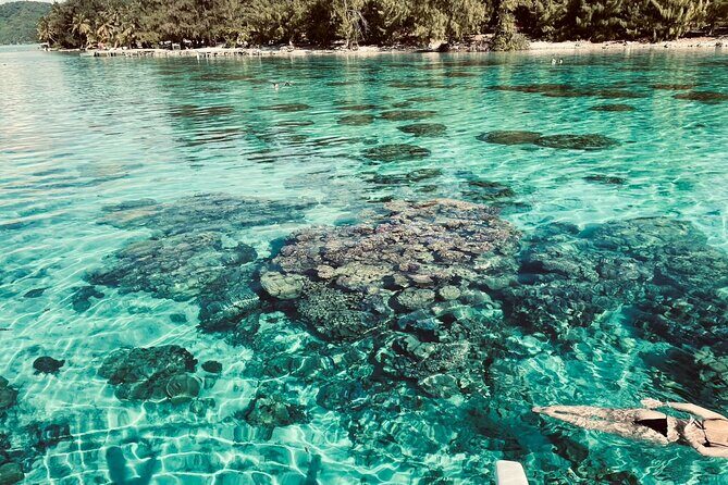 Half day lagoon safari tour in Bora Bora- Shared tour - Who Will Love This Tour?