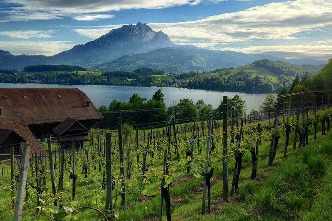 Half-Day Lake Lucerne Country Walk - Experience Highlights