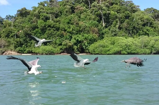 Half-Day Langkawi Island Hopping By Boat - Boat Ride Description