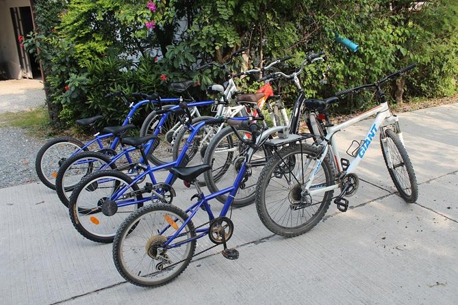 Half-Day Lanna Countryside Cycling Tour in Chiang Mai - Traveler Feedback and Reviews