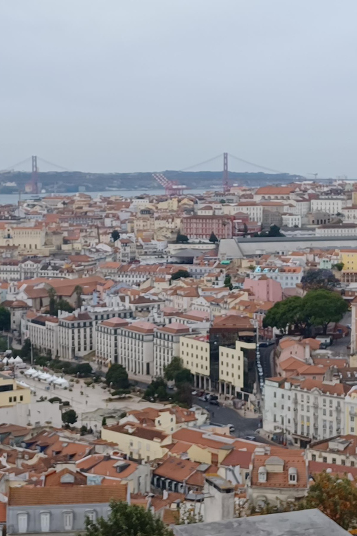 Half Day Lisbon Tour Small Group Through the City of 7 Hills - Key Points