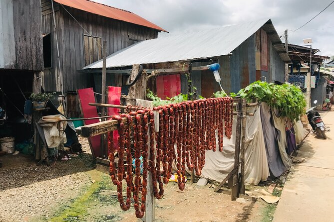 Half Day Livelihood Tour - Battambang City & Villages.Local Life - Key Points