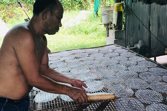 Half Day Livelihood Tour - Battambang City & Villages.Local Life - Accessibility and Participation