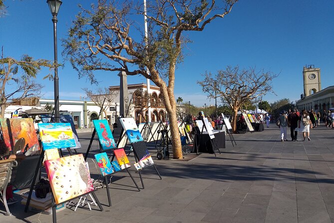 Half Day - Los Cabos City Tour With Visit to the Arch - Tour Conditions