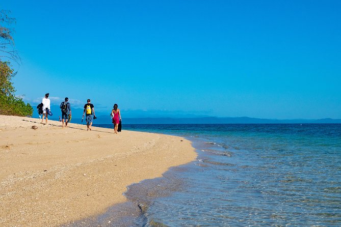 Half Day Low Isles Snorkelling Tour From Port Douglas - Snorkeling Highlights