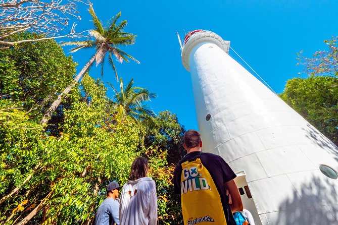 Half Day Low Isles Snorkelling Tour From Port Douglas - Island Exploration