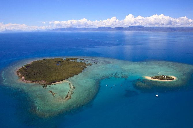 Half Day Low Isles Snorkelling Tour From Port Douglas - Tour Details and Logistics