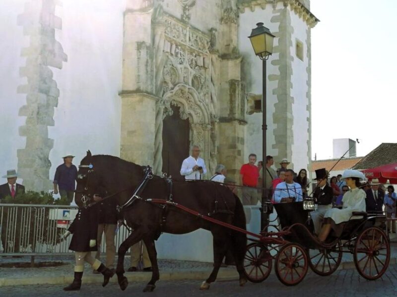 Half-Day Lusitanian Horses & Photography Museum Private Tour - Key Points