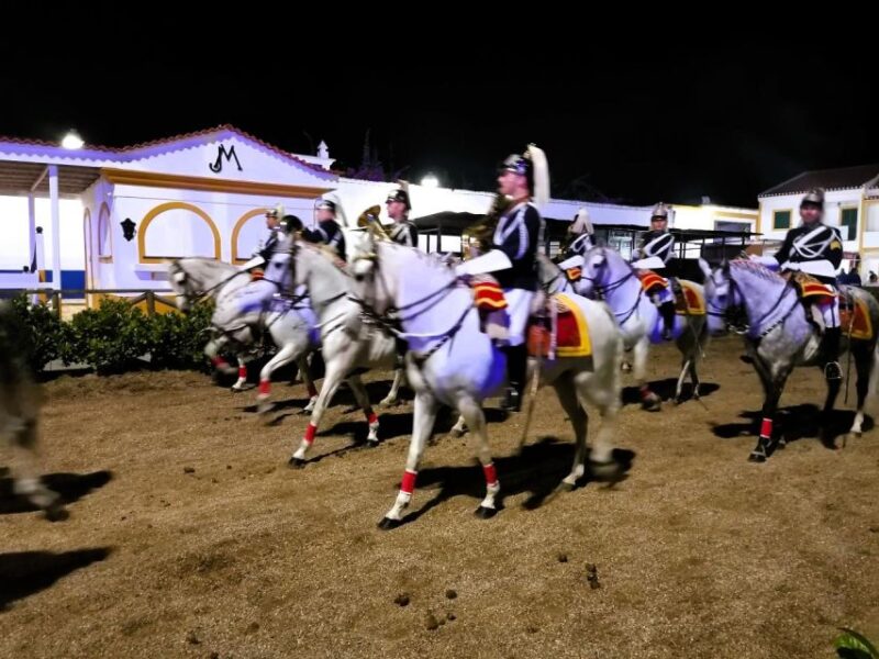 Half-Day Lusitanian Horses & Photography Museum Private Tour - Coudelaria Rita Cotrim