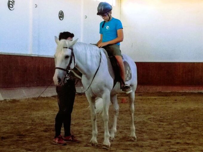 Half-Day Lusitanian Horses & Photography Museum Private Tour - Feira Da Golegã