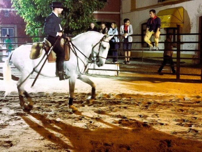 Half-Day Lusitanian Horses & Photography Museum Private Tour - Additional Information