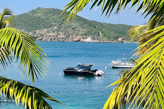 Half Day Luxury Catamaran Turtle Snorkel And Beach - Overview and Experience