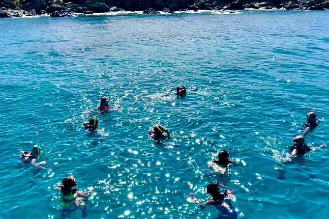 Half Day Luxury Catamaran Turtle Snorkel And Beach - Meeting and Pickup Information