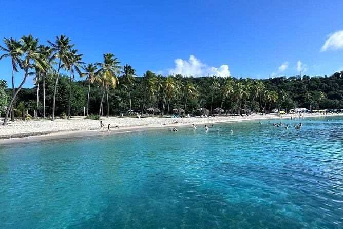 Half Day Luxury Catamaran Turtle Snorkel And Beach - Health and Safety Guidelines