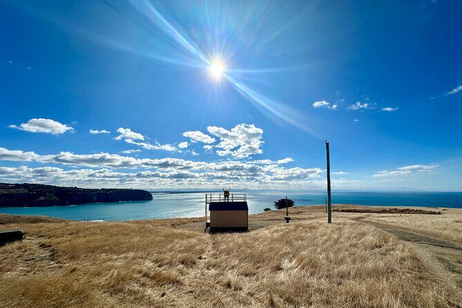 Half Day Luxury Private Guided Crater Rim Walk - Key Points