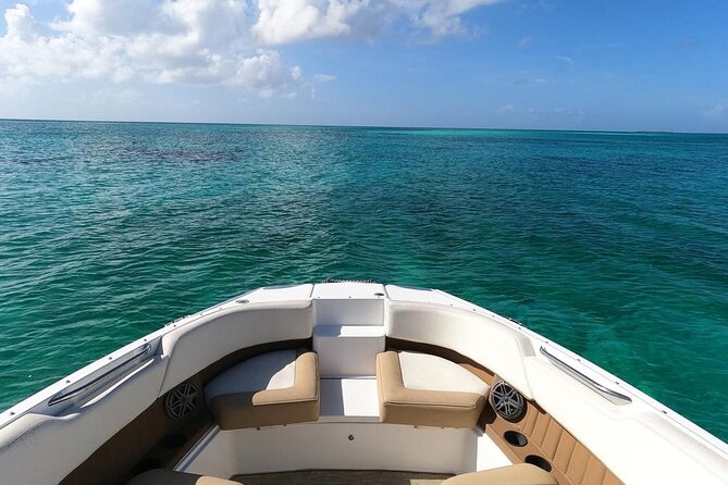 Half-Day Luxury Private Rose Island Pigs and Turtles Excursion - Overview of the Tour