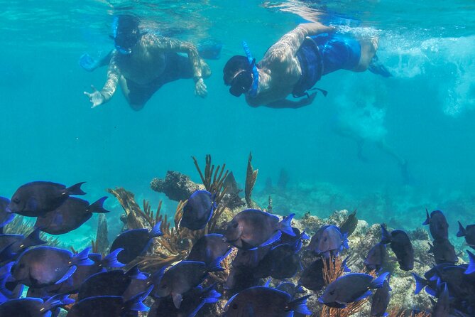 Half-Day Luxury Sailing Experience in Tulum With Open Bar - Crew Assistance and Safety