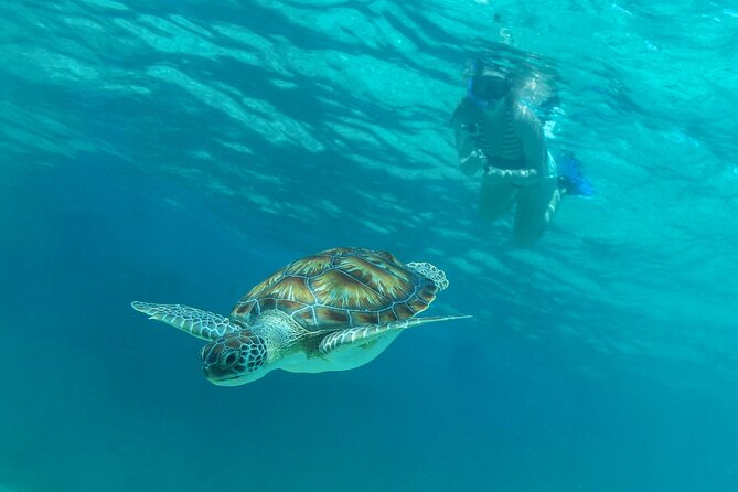 Half-Day Luxury Sailing Experience in Tulum With Open Bar - Weather Policy and Accessibility