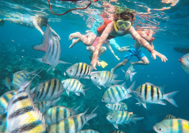 Half Day Luxury Yacht Experience Montego Bay - Booking and Cancellation Policies