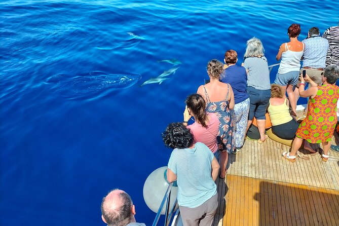 Half Day Madeira Island Cruise With Lunch - Badge of Excellence