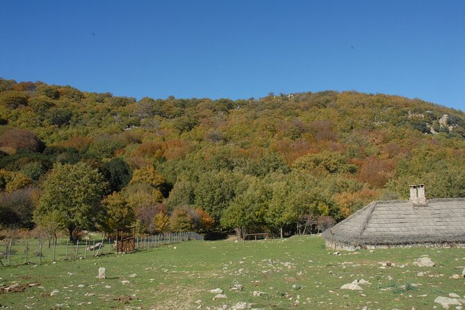 Half-day Madonie Hike to Piano Pomos Giant Hollies - Traveler Reviews