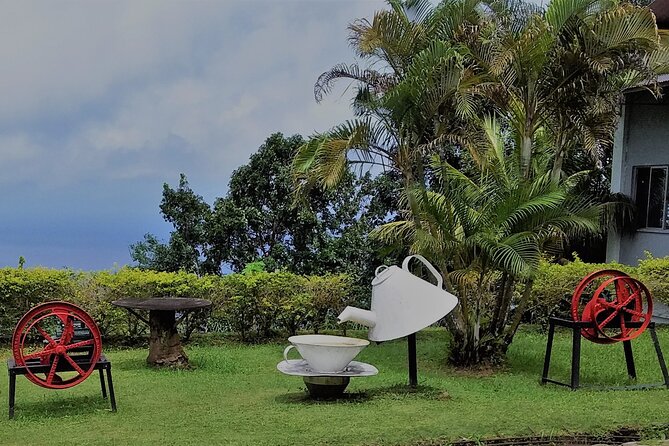 Half-Day Mahe Private Tour - Itinerary Highlights