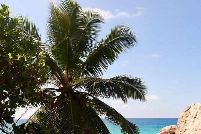 Half-Day Mahe Private Tour - Cancellation and Booking Policy
