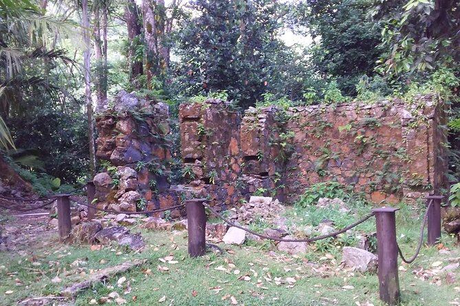 Half-Day Mahe Private Tour - Additional Information