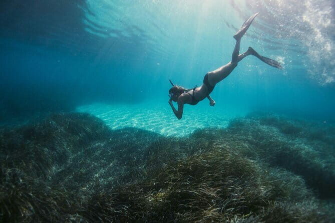 Half Day Mangrove and Lanta Old Town Tour - Authentic Experiences & Practical Tips