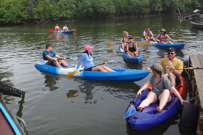 Half Day Mangrove by Kayaking or Longtail Boat From Koh Lanta - Inclusions and Logistics