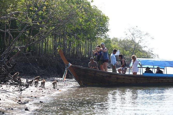 Half Day Mangrove by Kayaking or Longtail Boat From Koh Lanta - Pricing and Payment