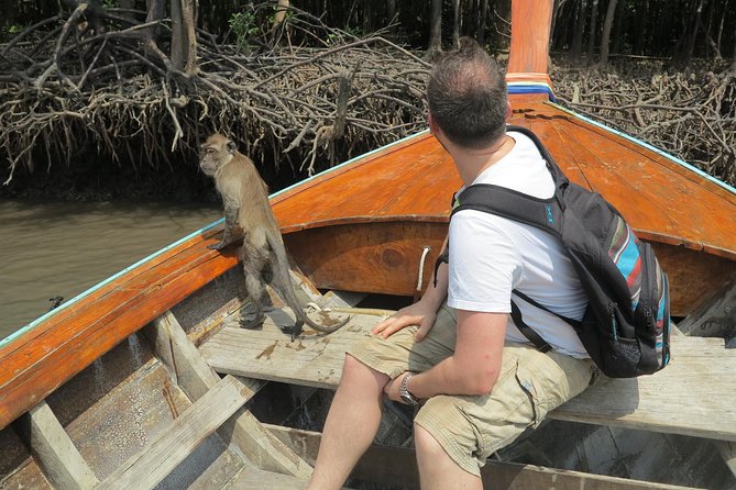 Half Day Mangrove by Kayaking or Longtail Boat From Koh Lanta - Safety and Precautions