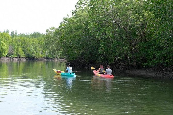 Half Day Mangrove Forest Kayaking Tour From Koh Lanta - Meeting and Pickup Information