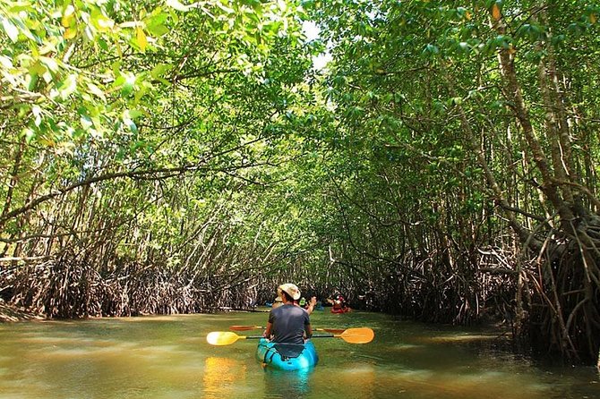Half Day Mangrove Forest Kayaking Tour From Koh Lanta - Tour Group and Communication