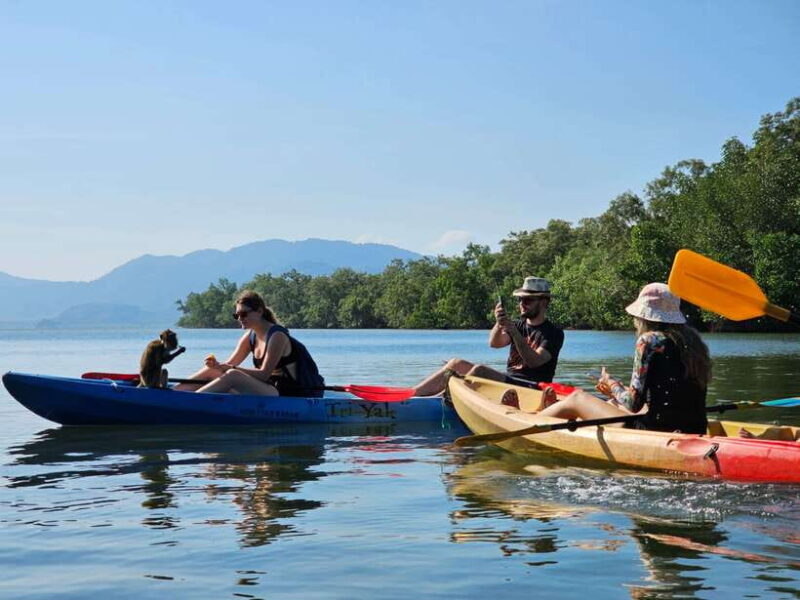Half Day Mangrove Forest (Morning or Afternoon) - Transportation and Logistics