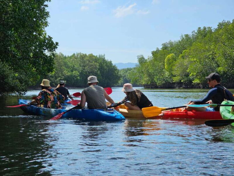 Half Day Mangrove Forest (Morning or Afternoon) - Getting to the Mangrove Forest