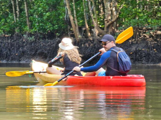 Half Day Mangrove Forest (Morning or Afternoon) - Reviewer Experiences
