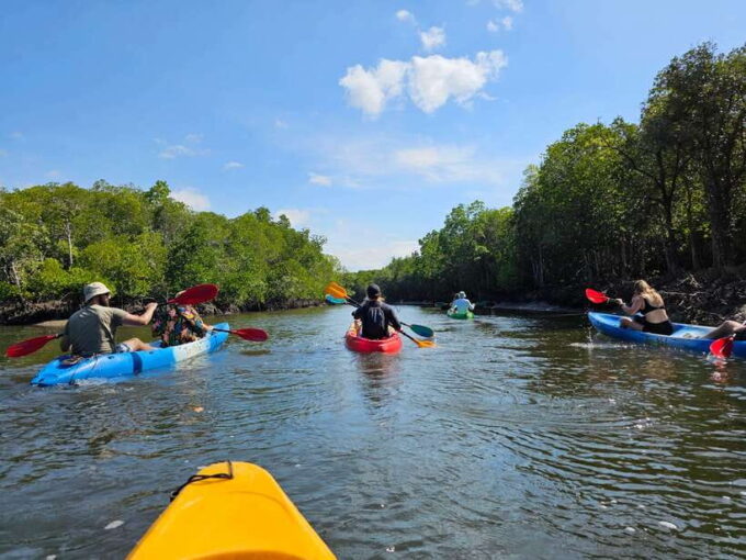 Half Day Mangrove Forest (Morning or Afternoon) - Frequently Asked Questions