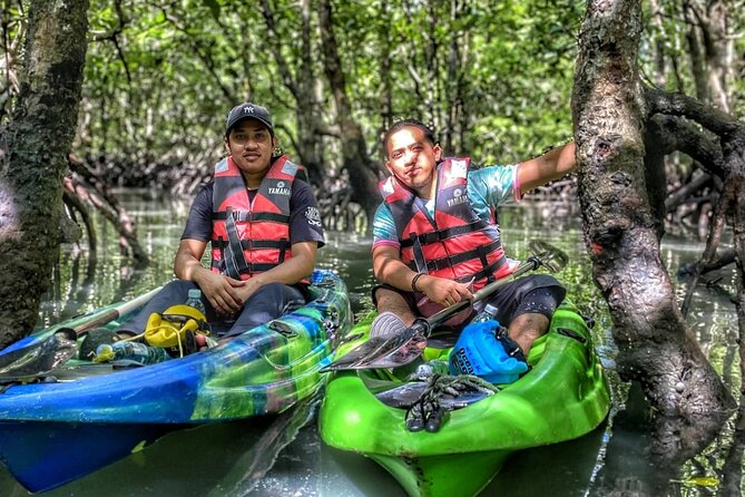 Half-Day Mangrove Kayaking in Langkawi - Kayaking Through Serene Waterways