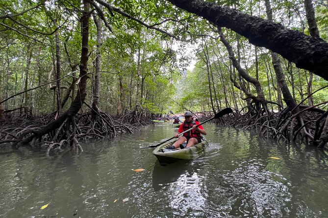 Half-Day Mangrove Kayaking in Langkawi - Diverse Ecosystem and Wildlife Spotting