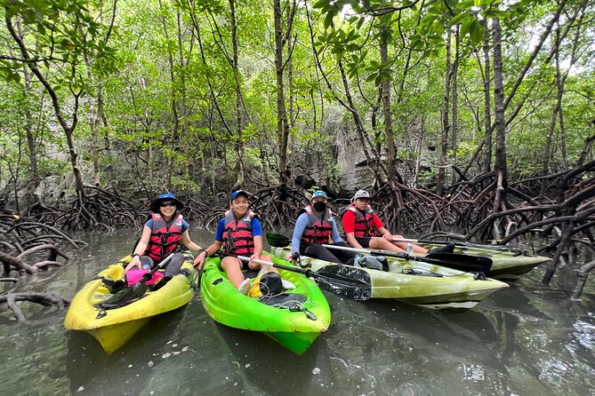 Half-Day Mangrove Kayaking in Langkawi - Meeting Point and Transportation