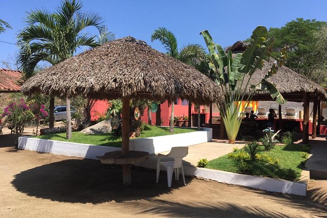 Half-day Manzanillo City Tours - Accessibility and Transportation