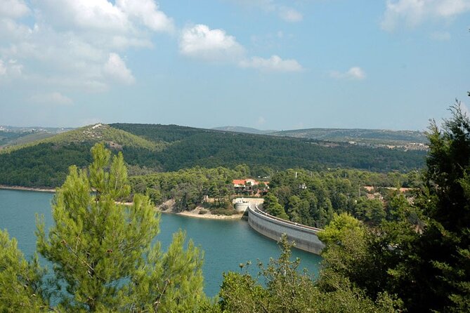 Half Day Marathon Private Tour - Transportation and Logistics