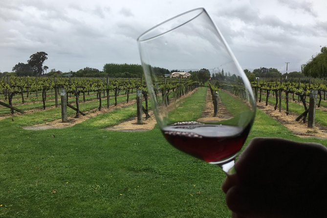 Half-Day Marlborough Wine Tour & Beer Tour - Booking Information