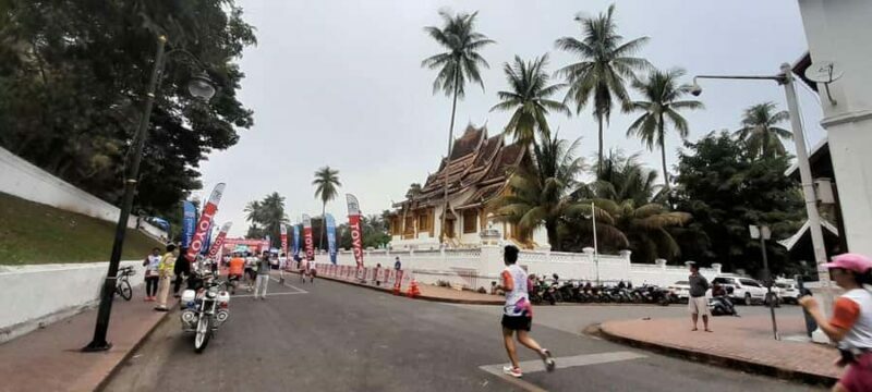 Half Day Mekong Cruise to Pak Ou Caves (Morning / Afternoon) - Practical Considerations