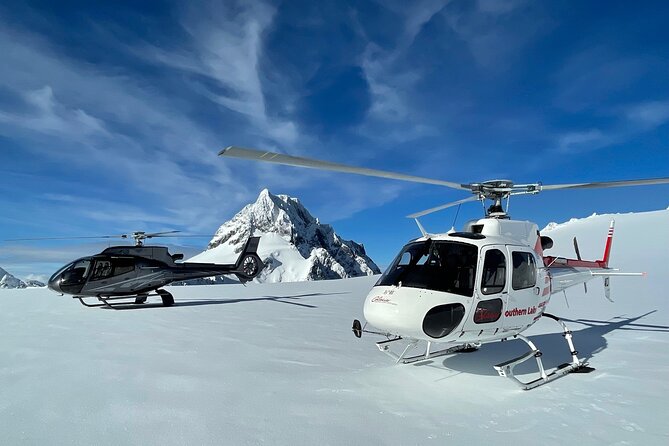 Half-Day Milford Helicopter Flight and Cruise From Queenstown - Customer Reviews and Feedback